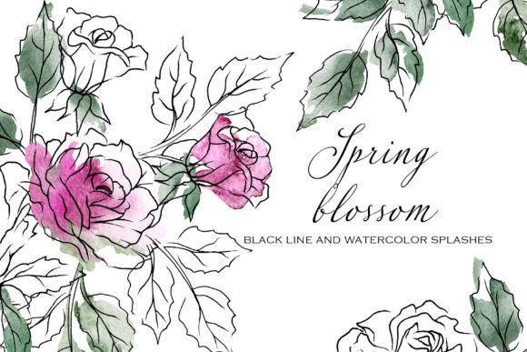 Download Black Line Flowers Roses. - Line flowers Collection