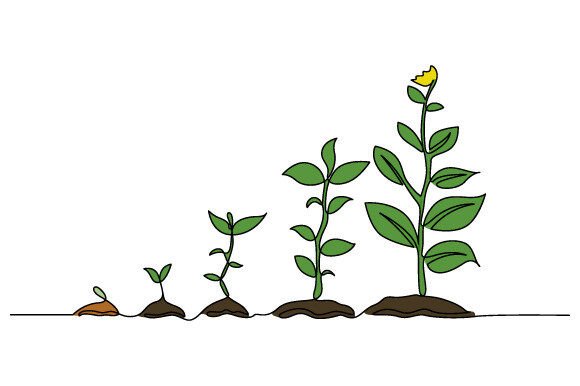 Download One Line Drawing Infographic Tree Vector - Graphic Collection